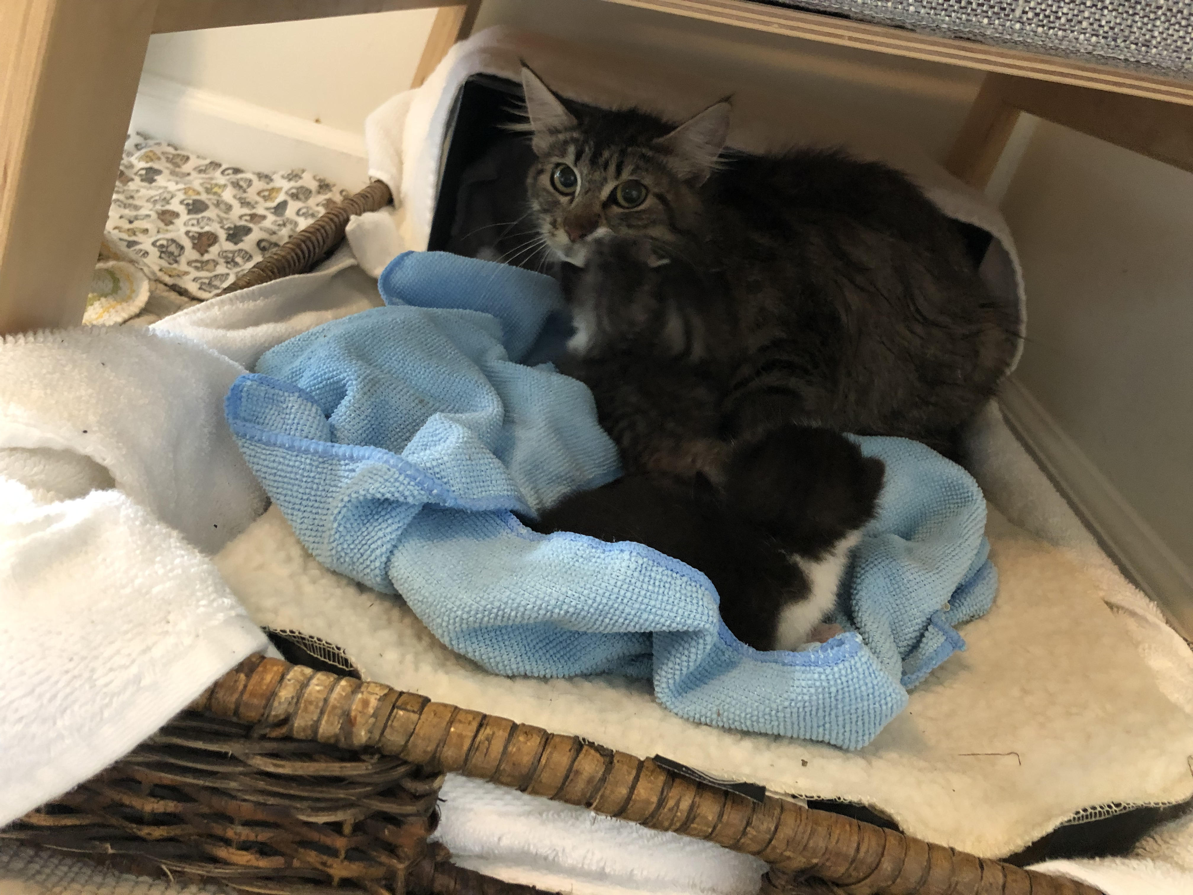 PK and Friend alt text