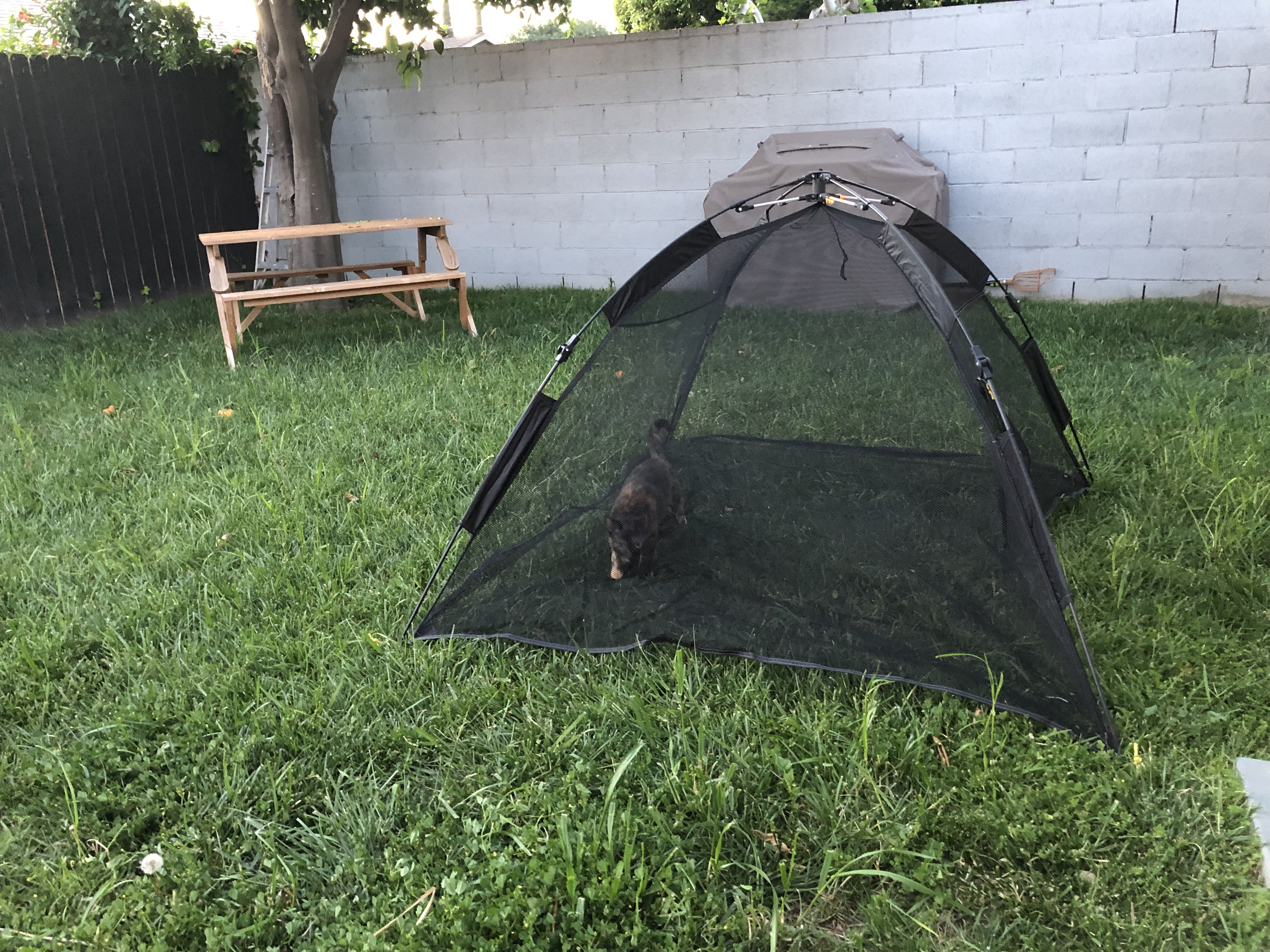 PK and Friend alt text