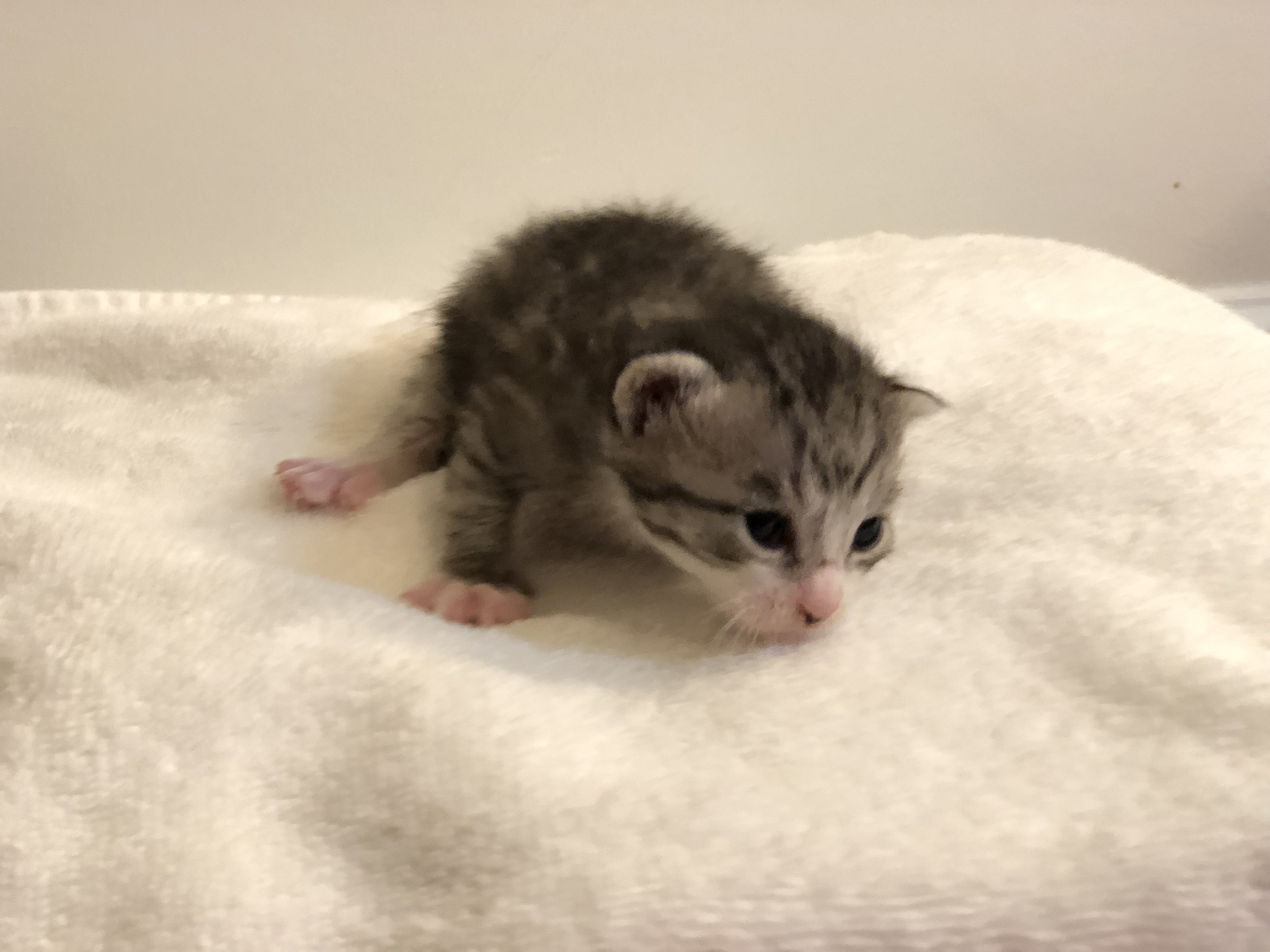 PK and Friend alt text