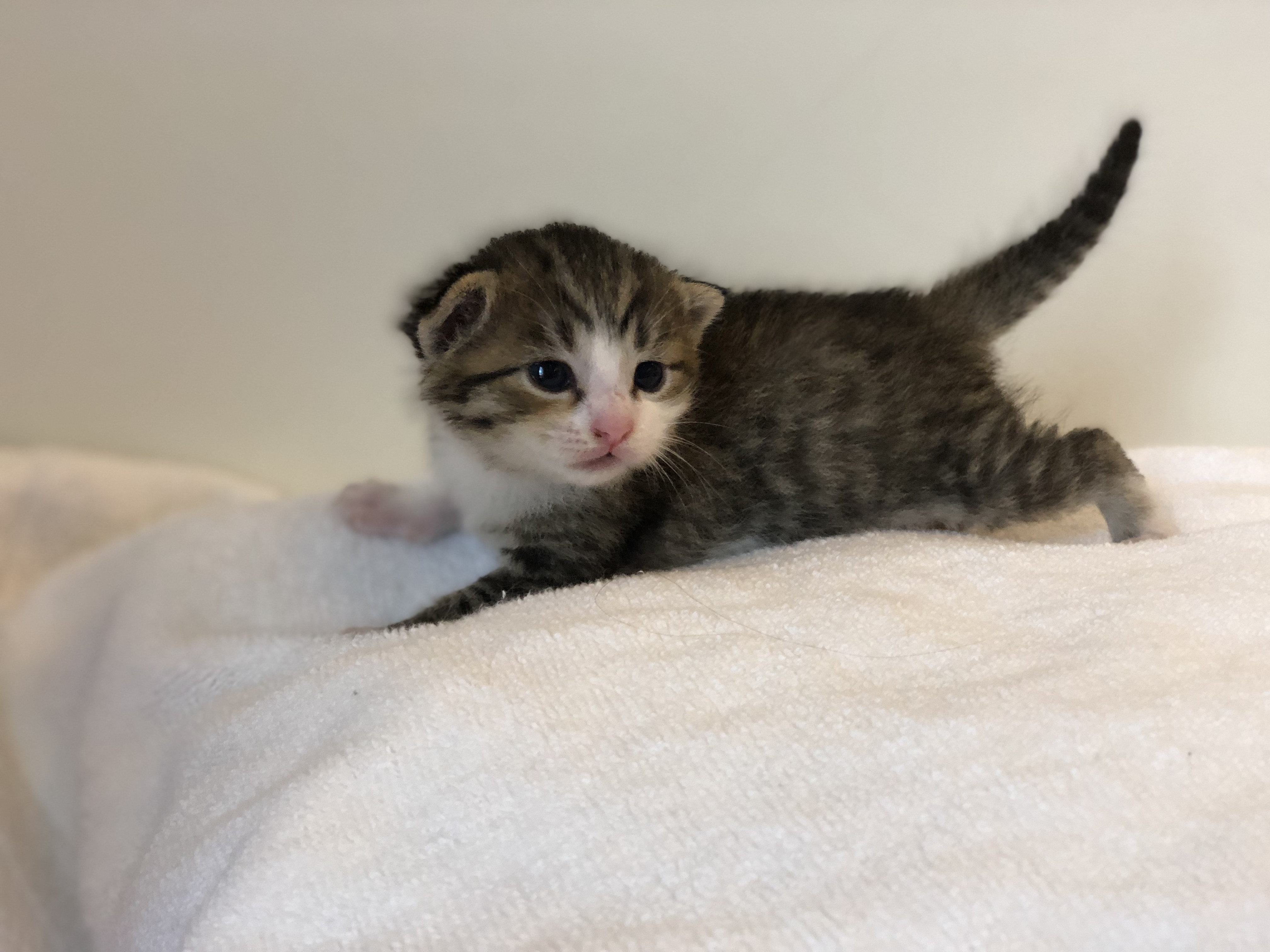 PK and Friend alt text