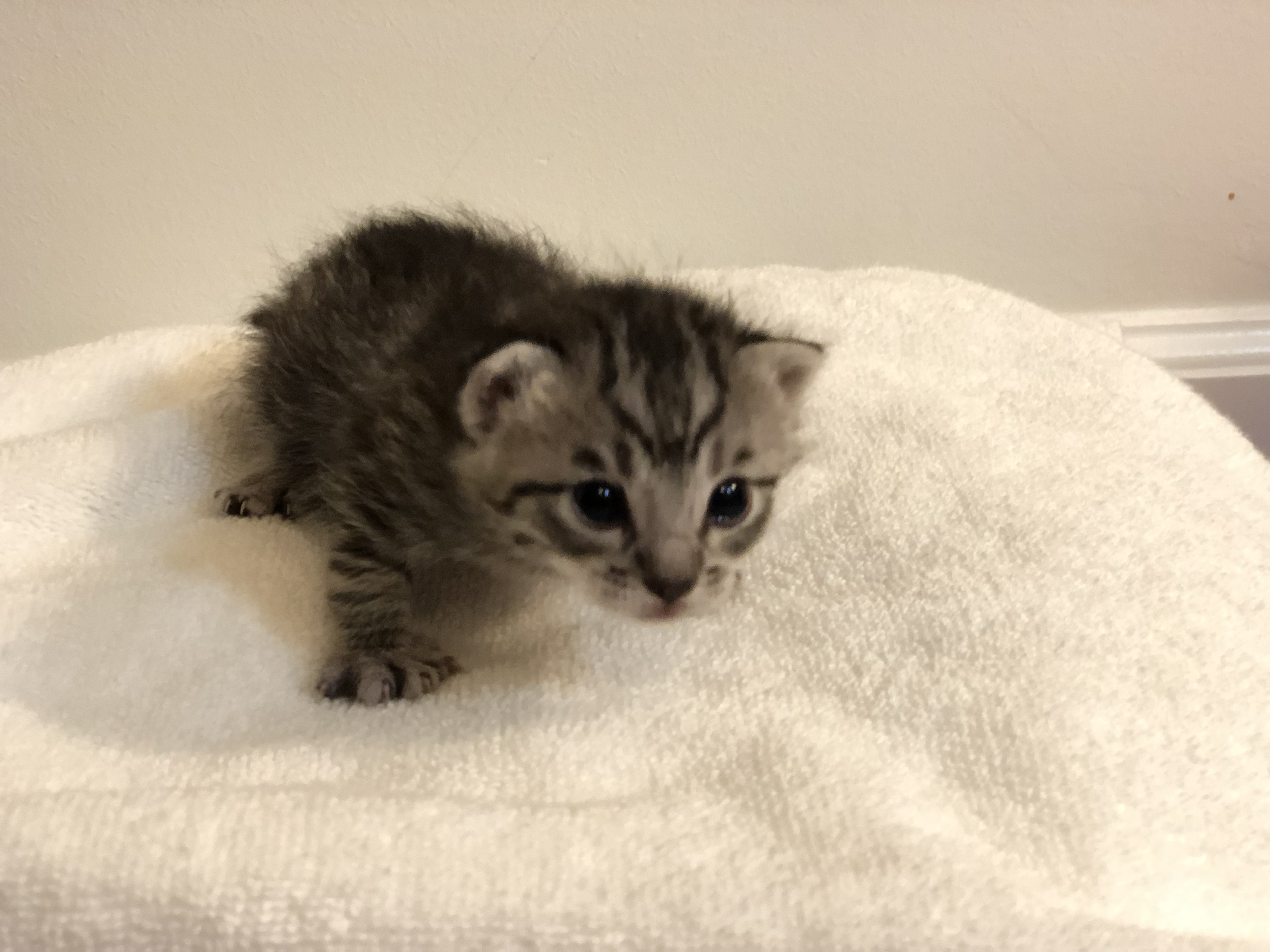 PK and Friend alt text