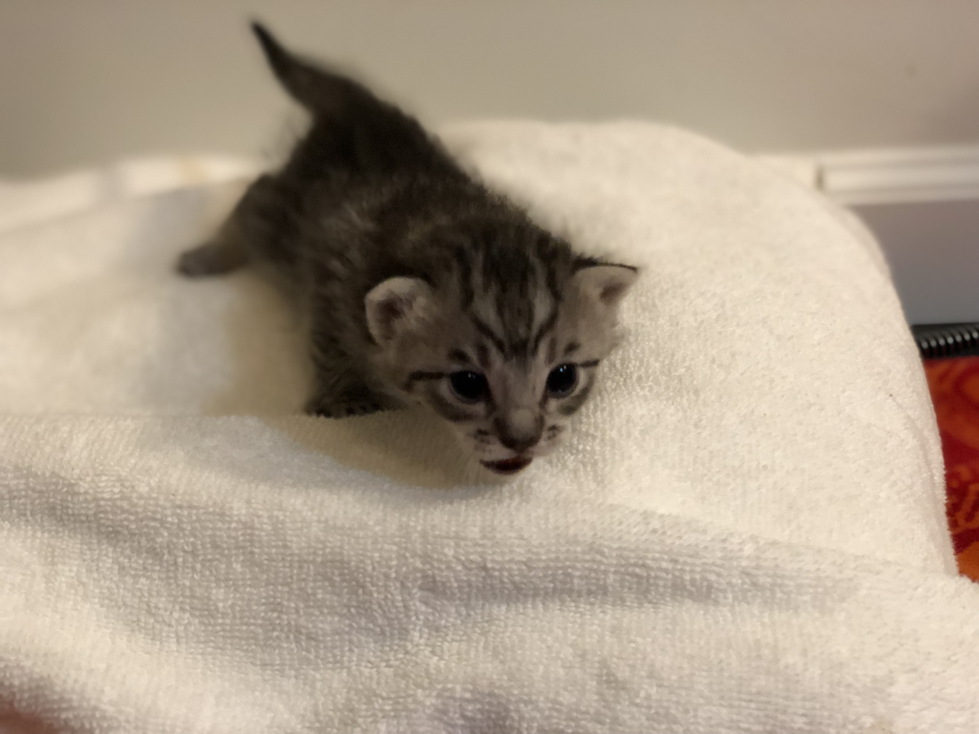 PK and Friend alt text