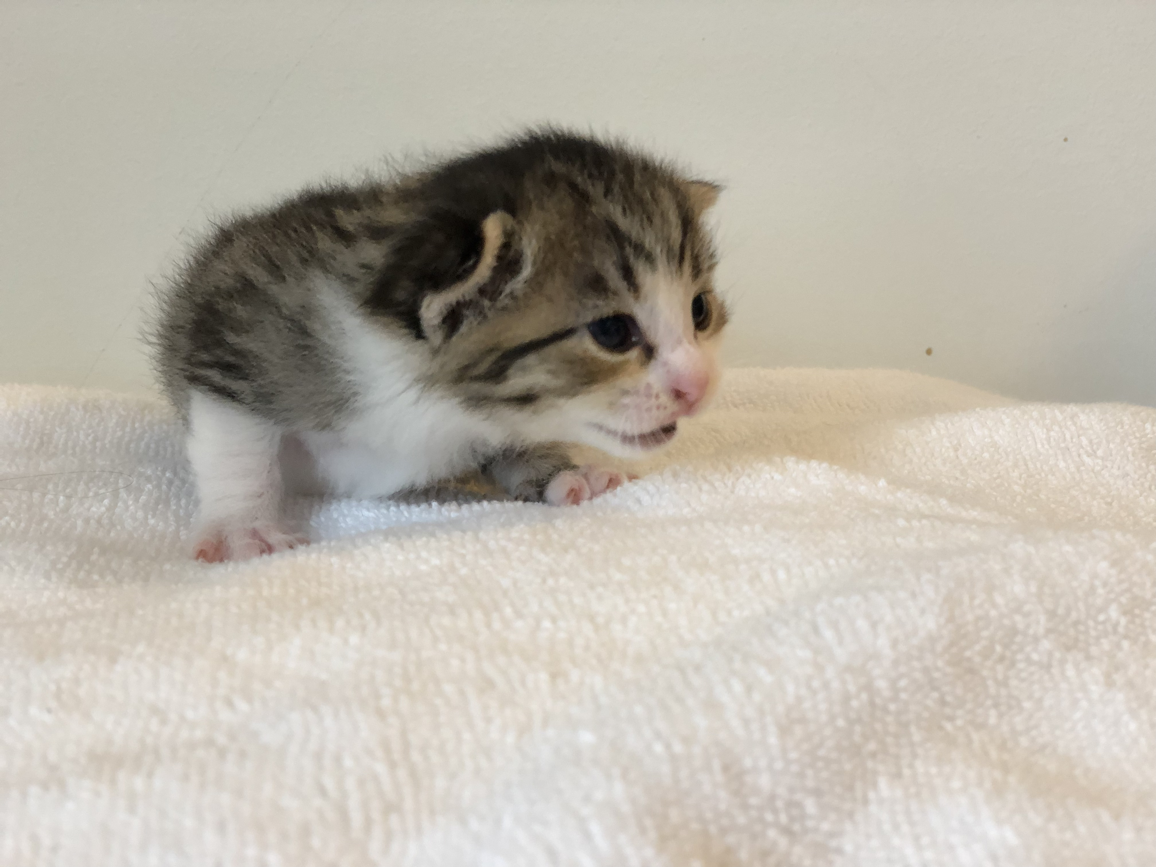 PK and Friend alt text