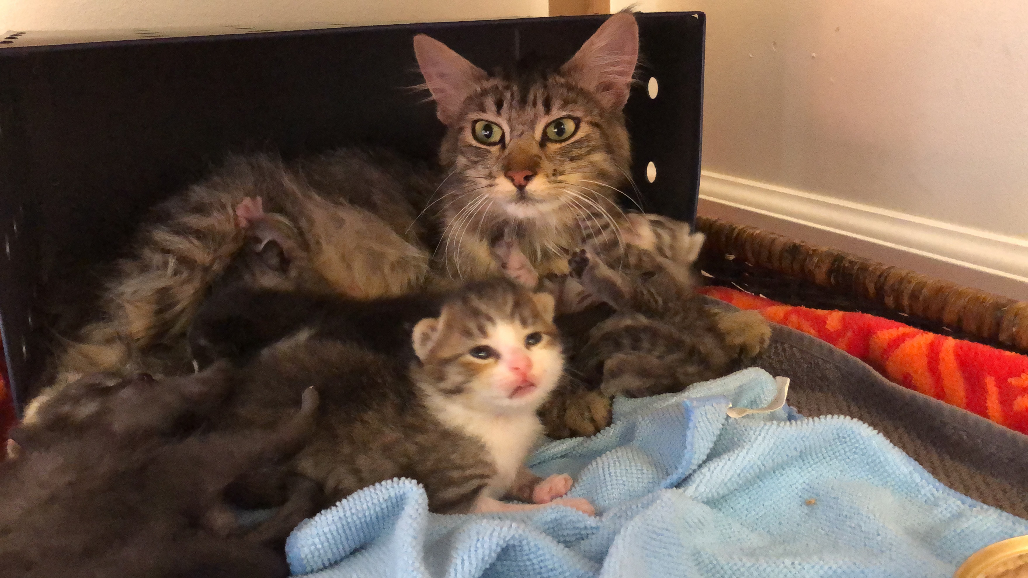 PK and Friend alt text