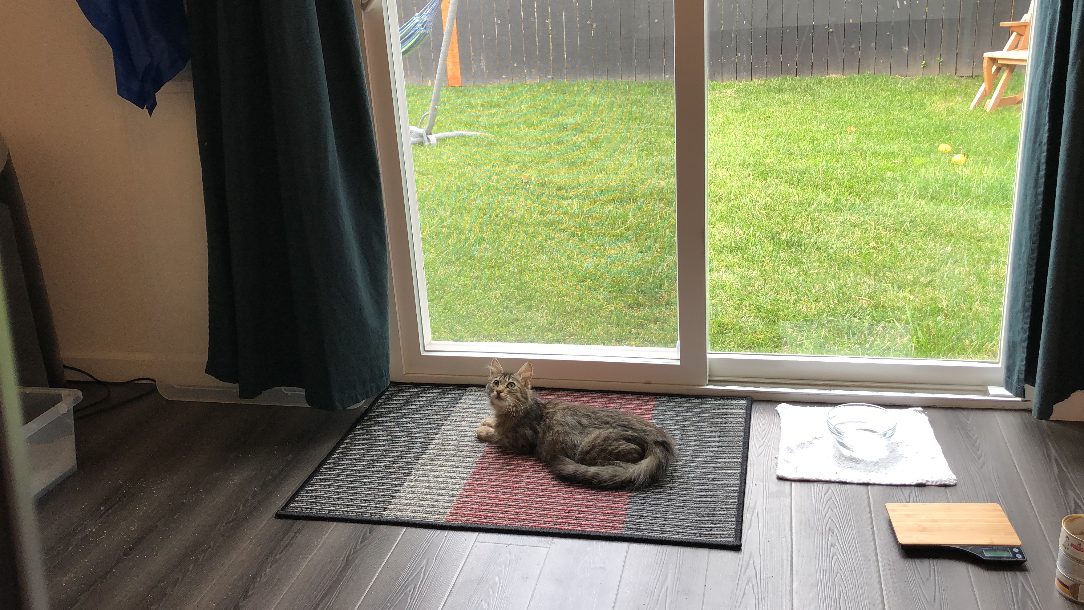 PK and Friend alt text