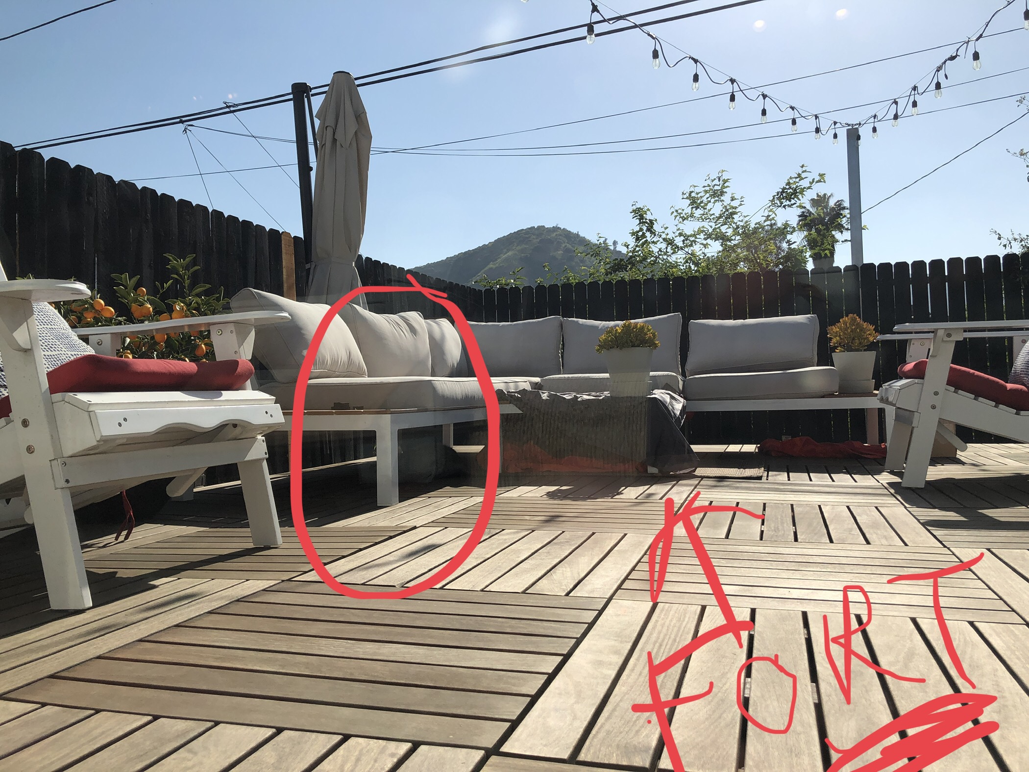 PK and Friend alt text