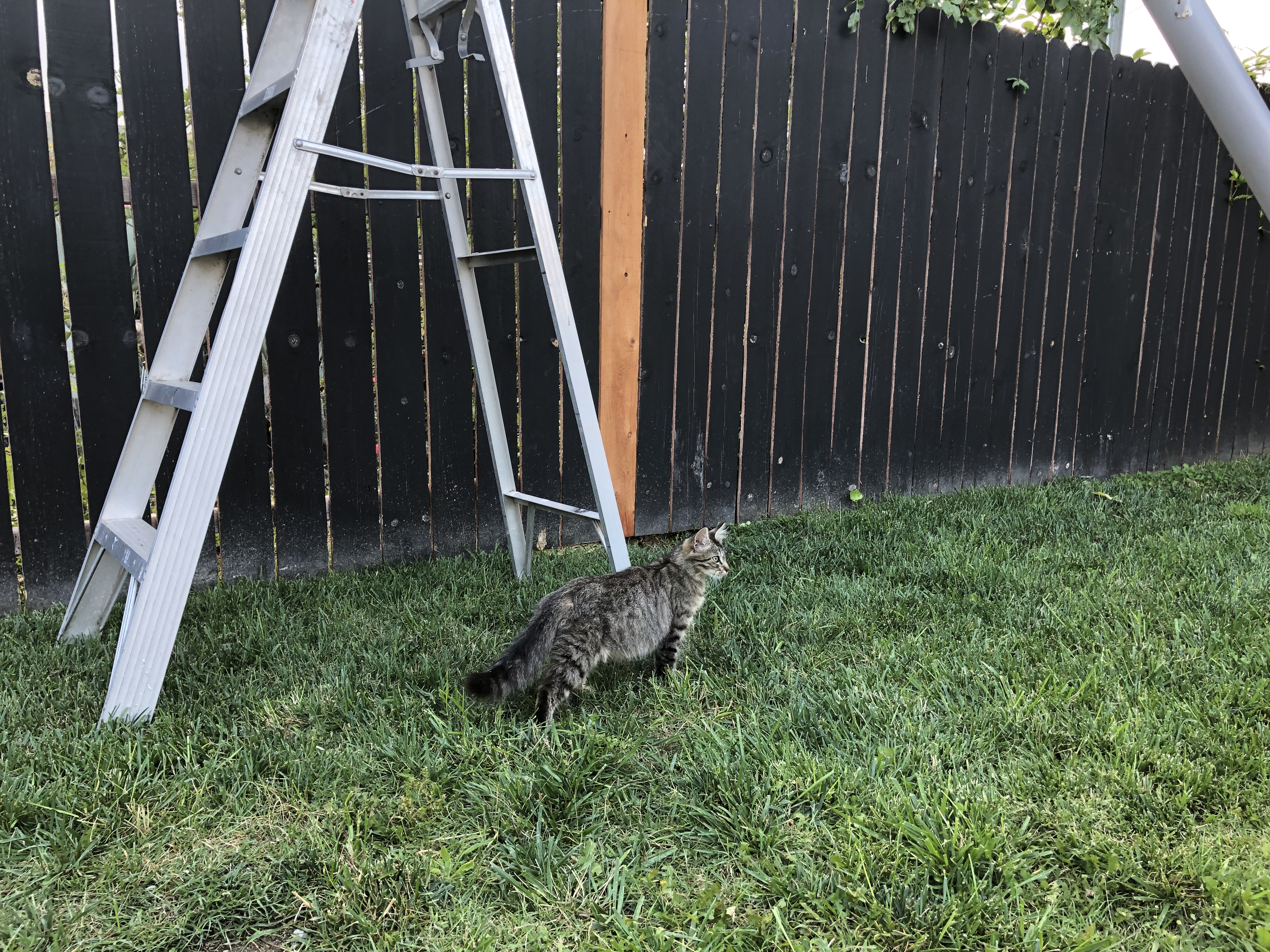 PK and Friend alt text