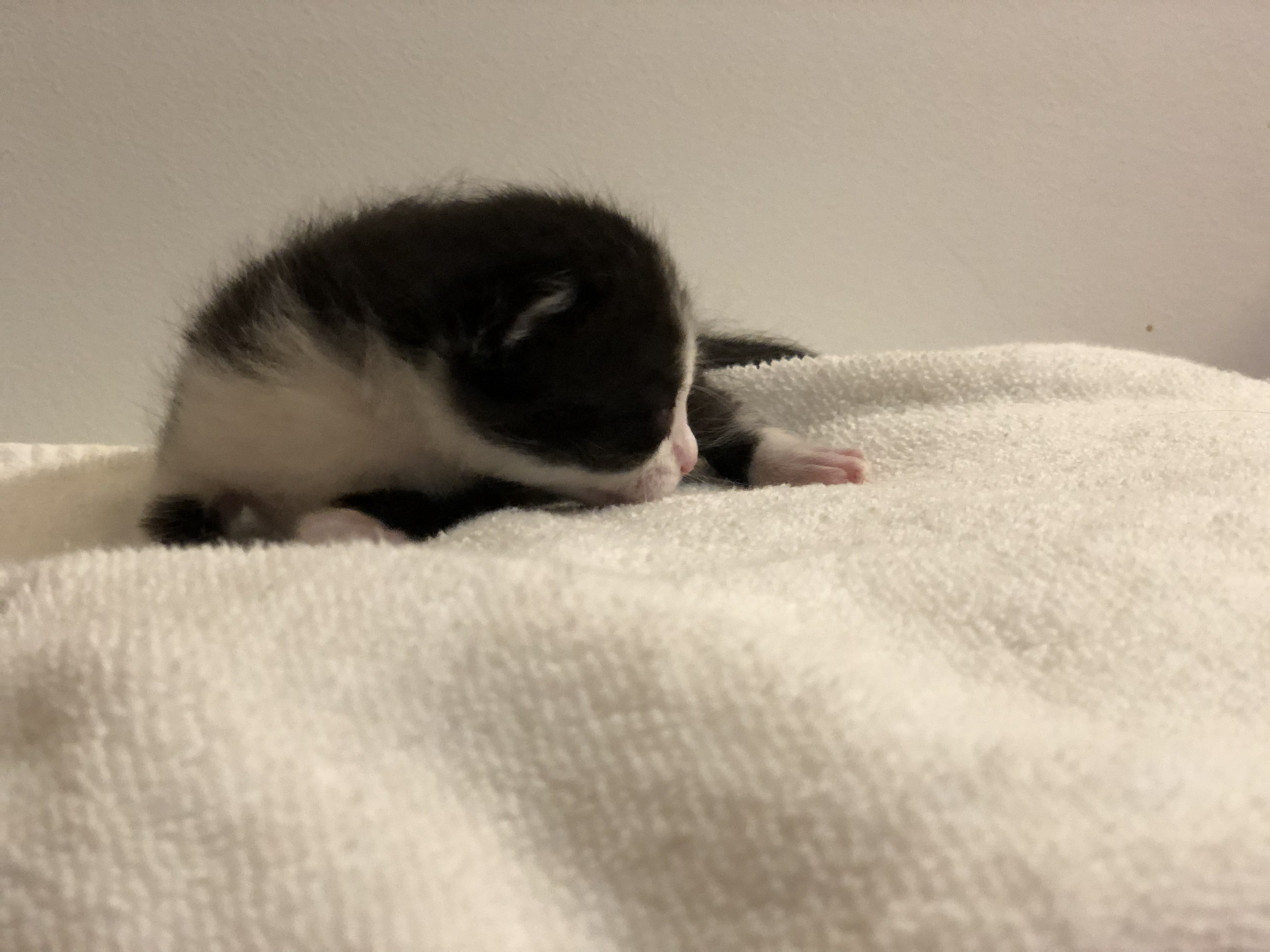 PK and Friend alt text