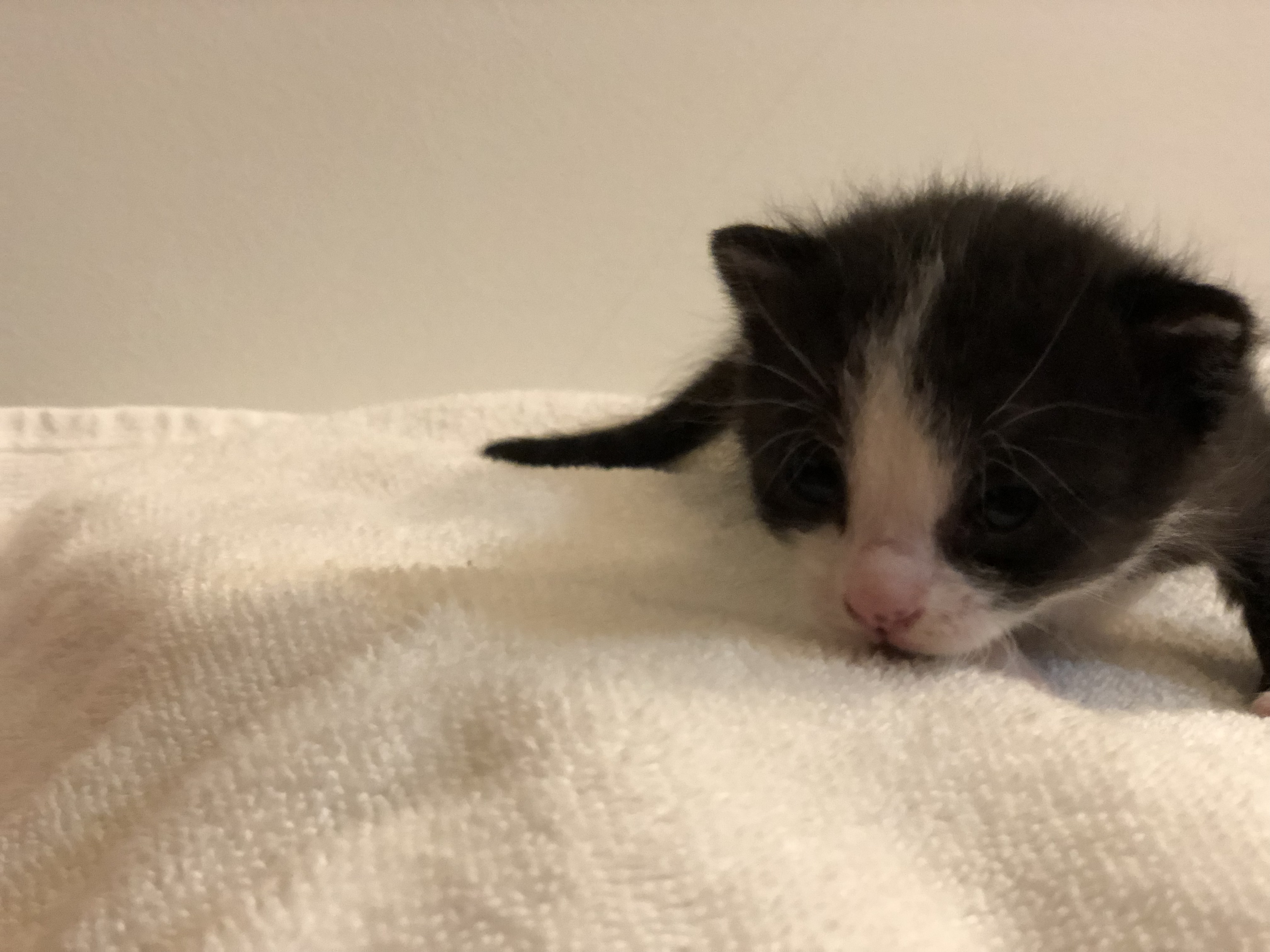 PK and Friend alt text