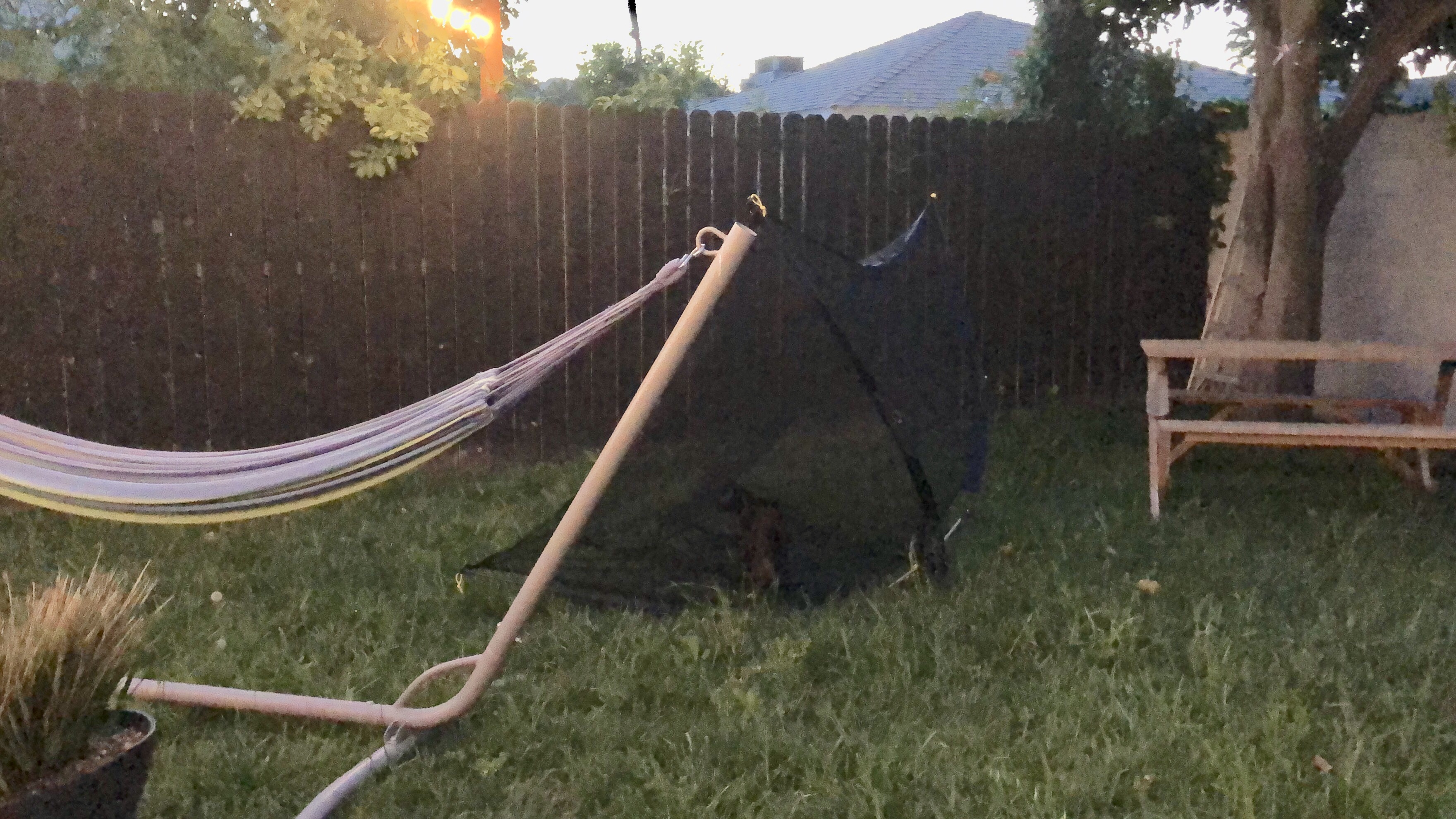 PK and Friend alt text