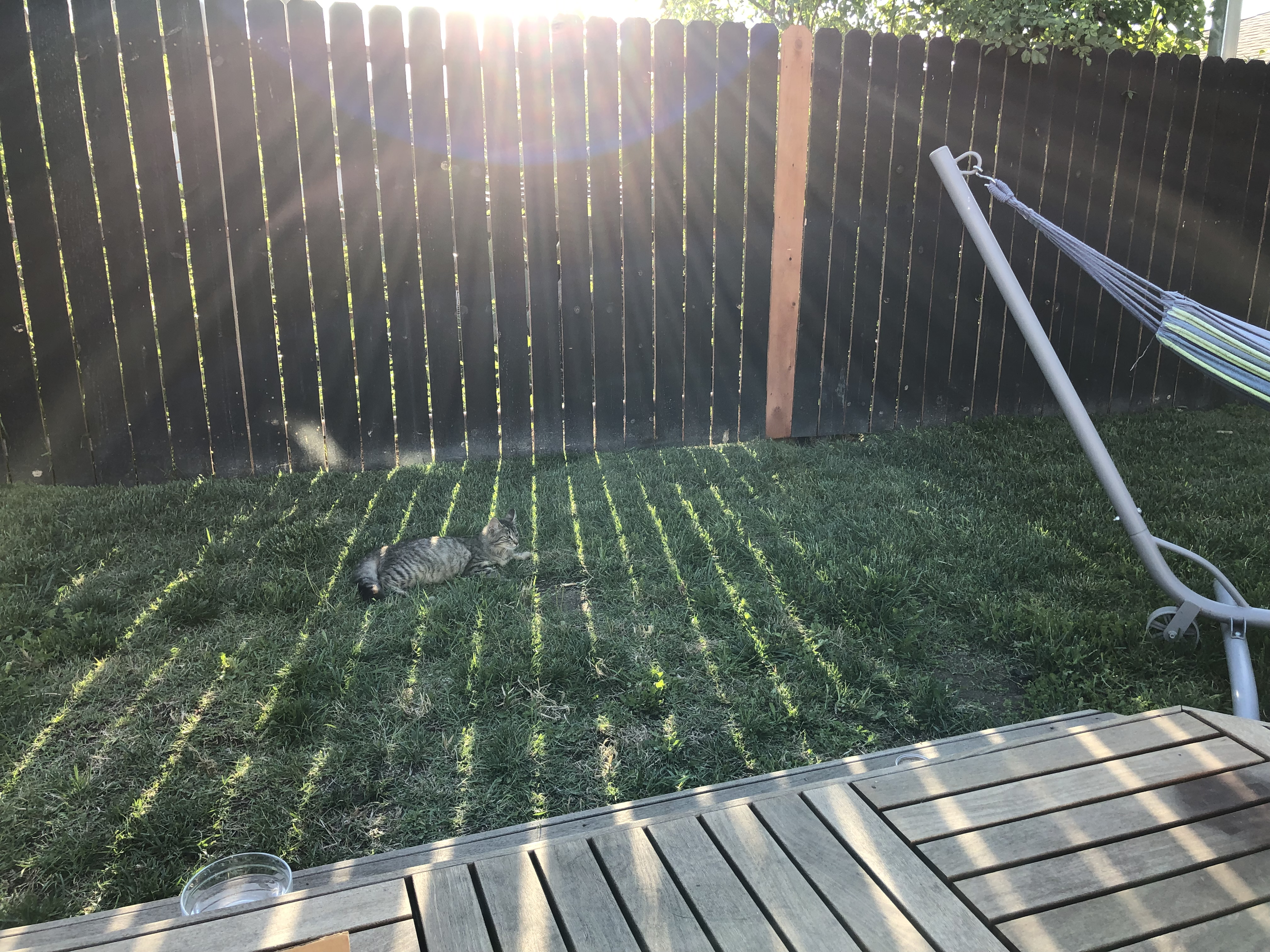 PK and Friend alt text