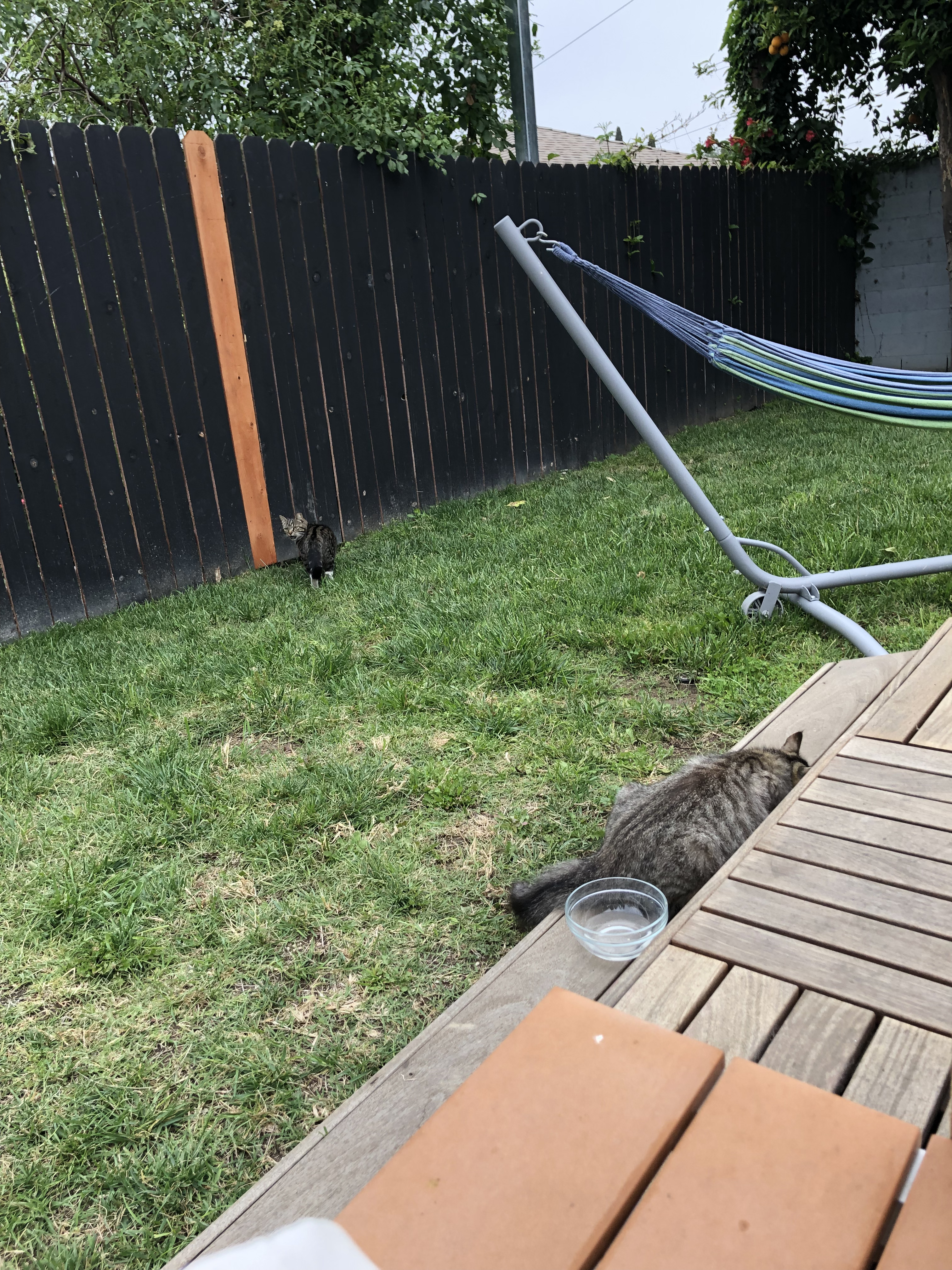 PK and Friend alt text