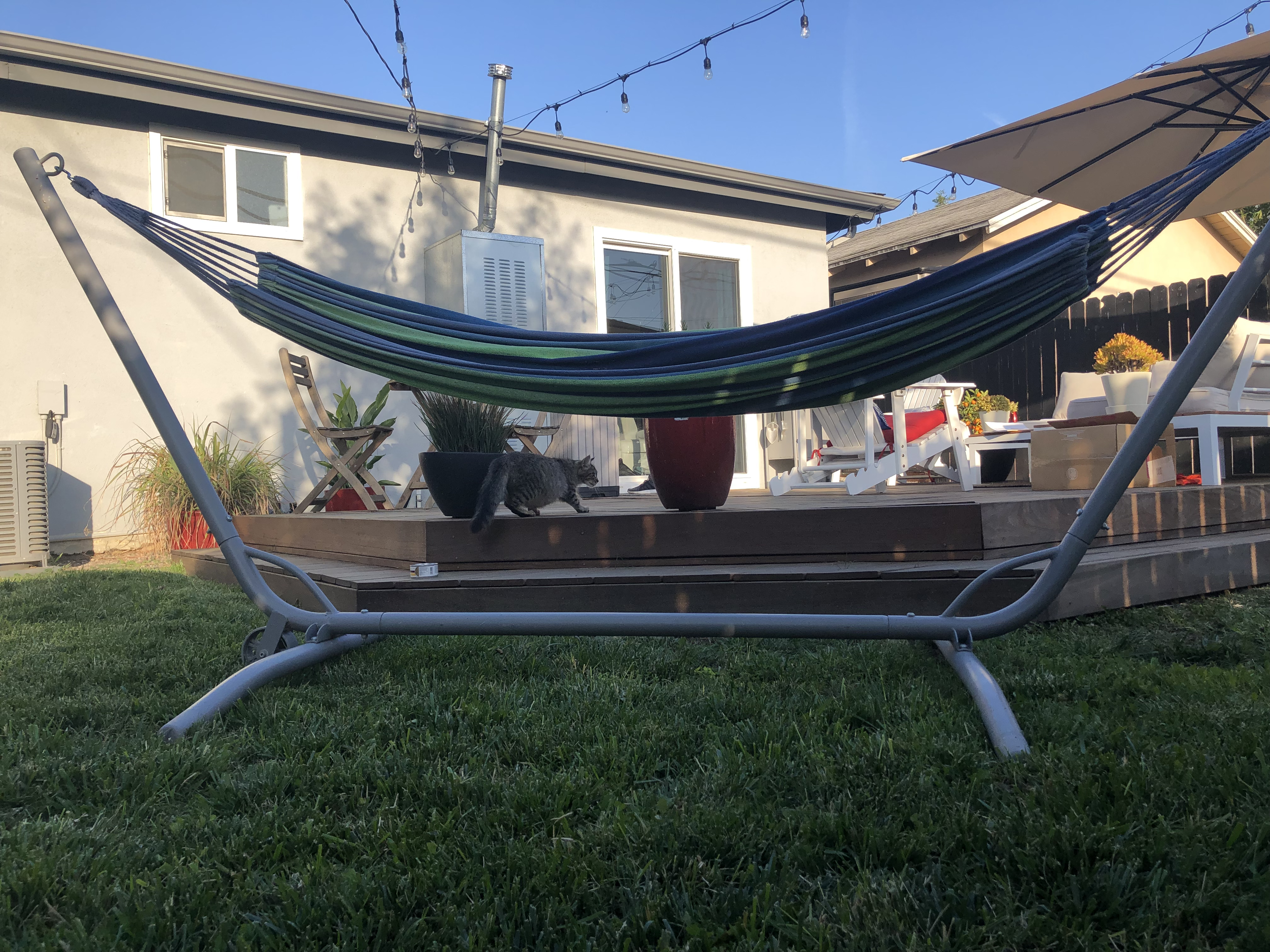 PK and Friend alt text