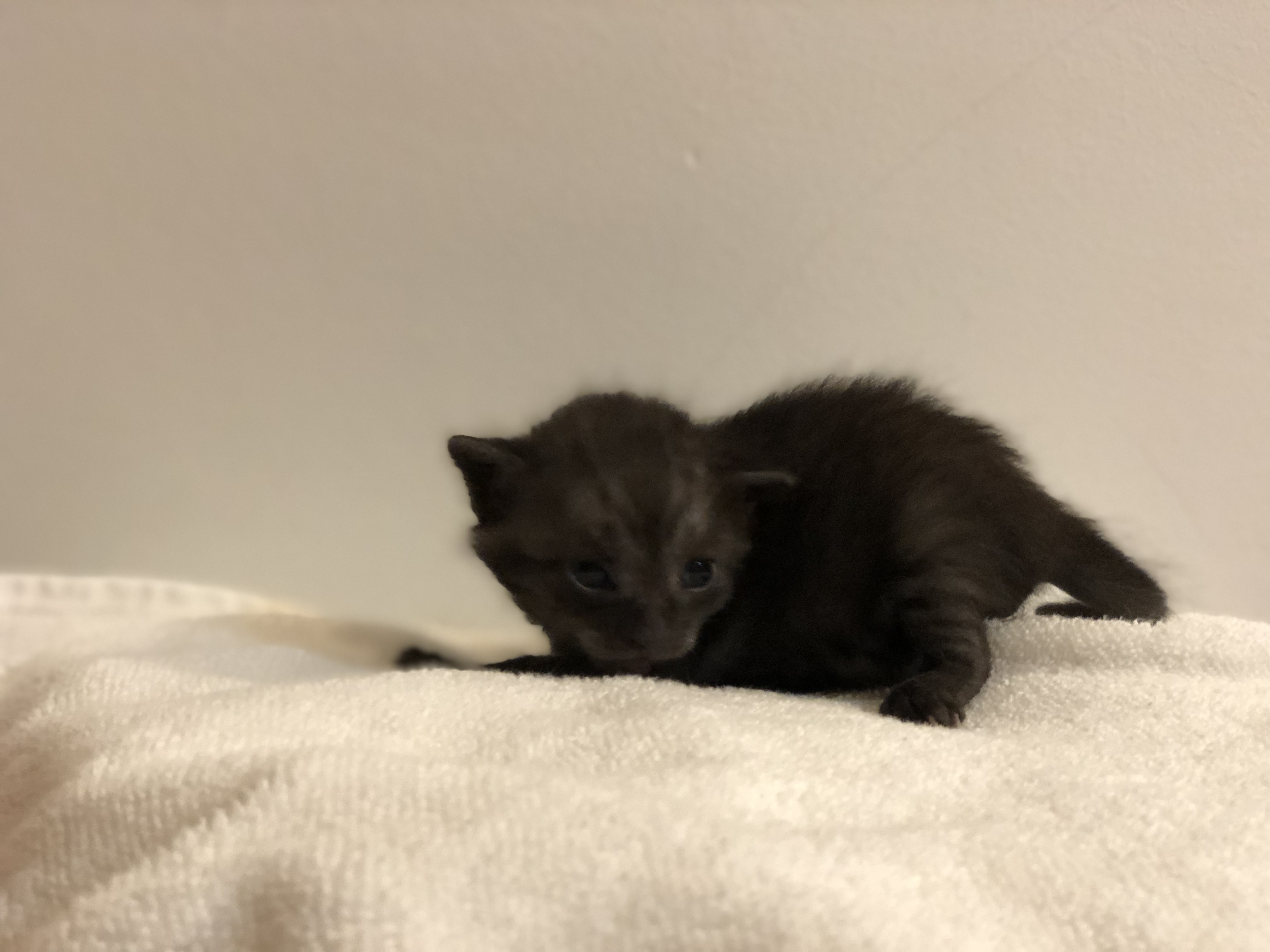 PK and Friend alt text