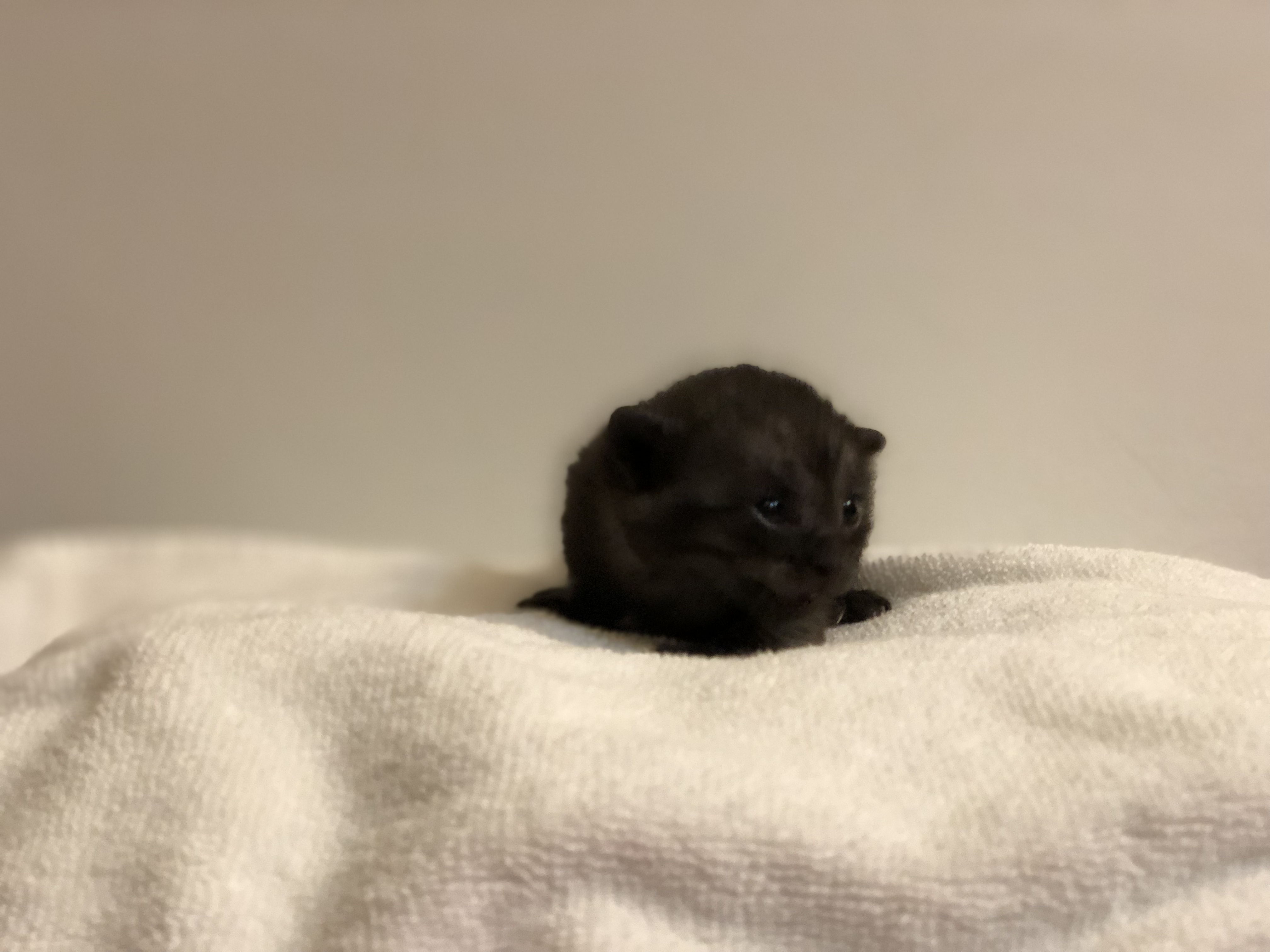 PK and Friend alt text