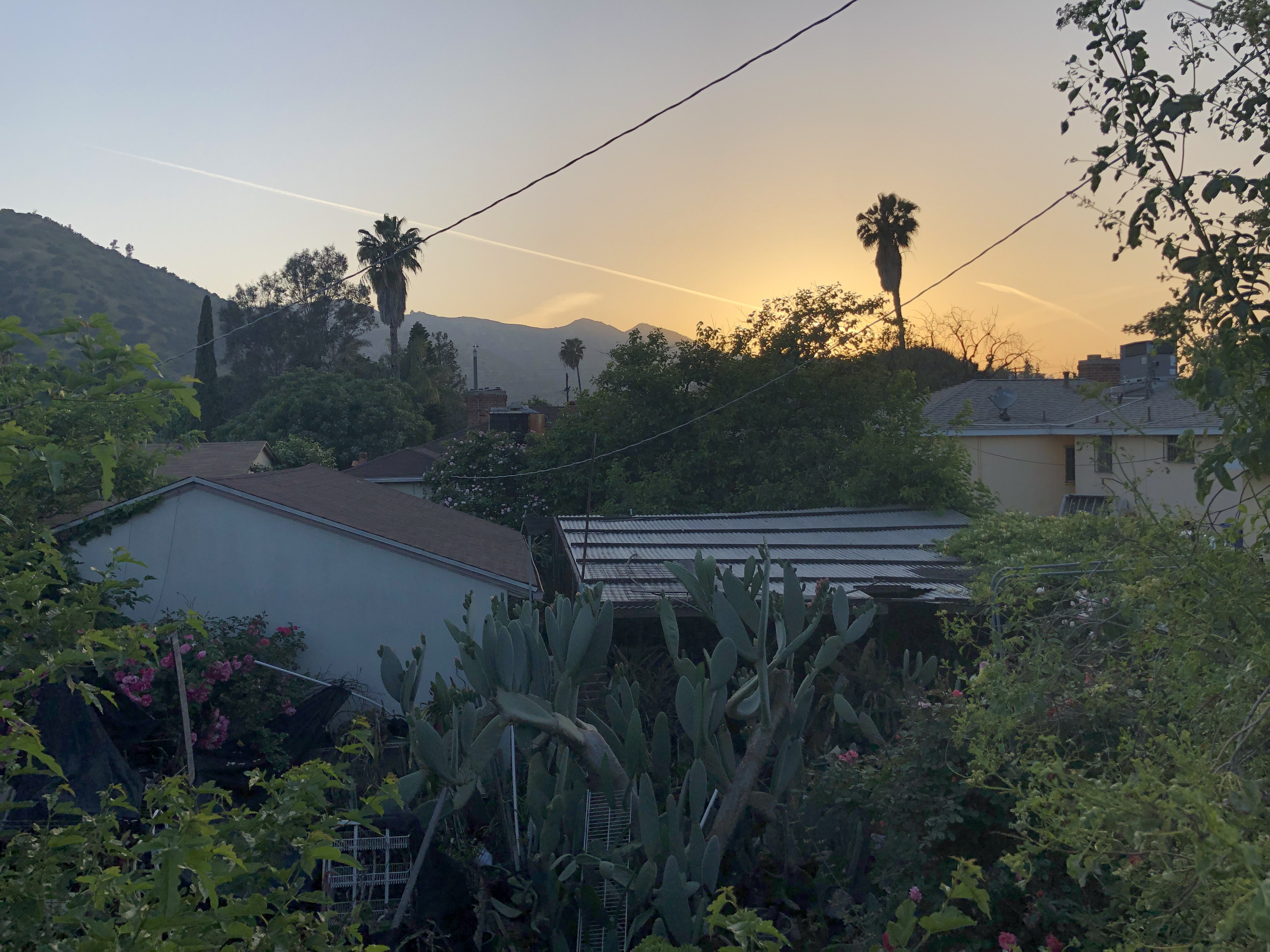 PK and Friend alt text