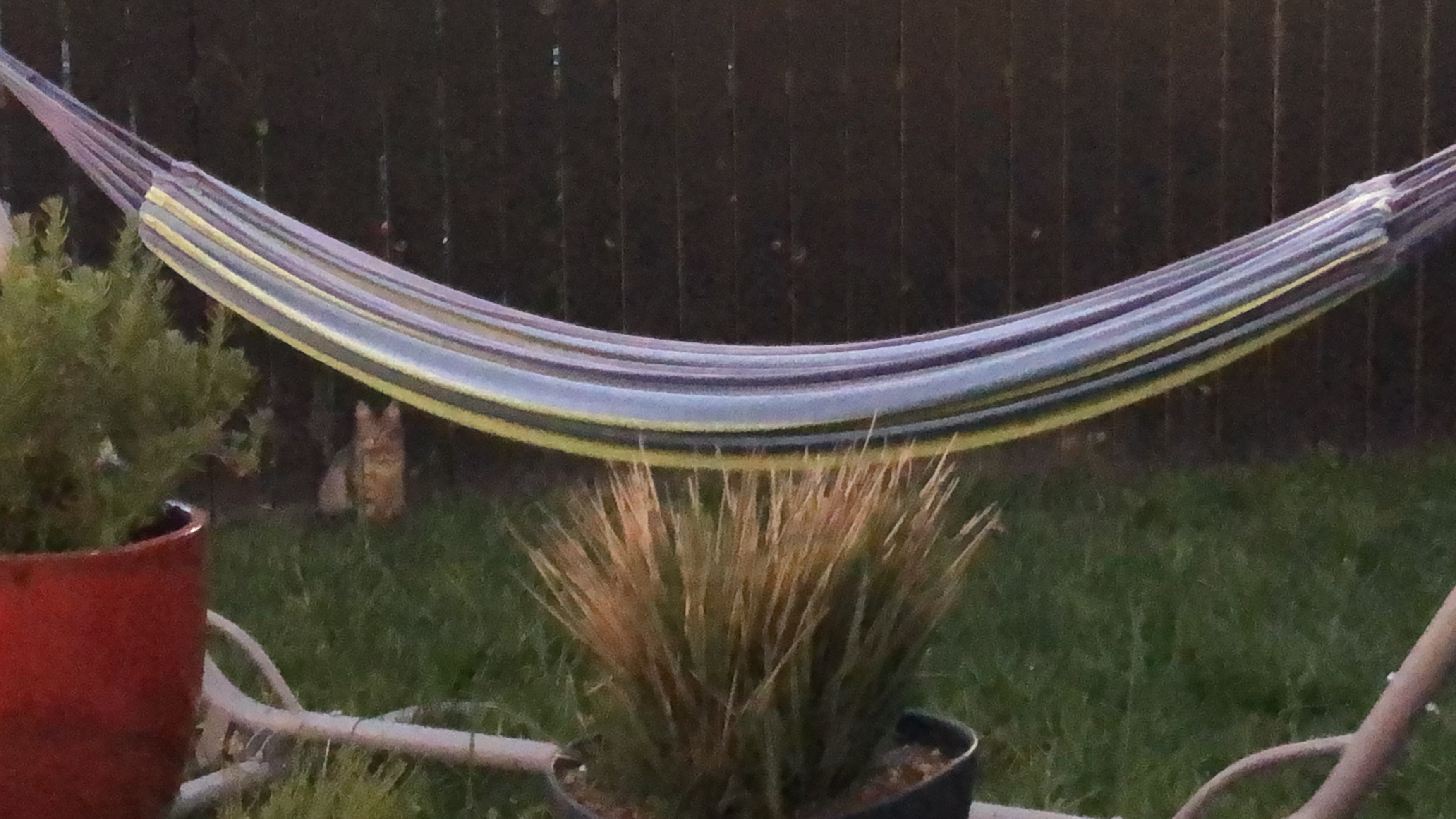 PK and Friend alt text