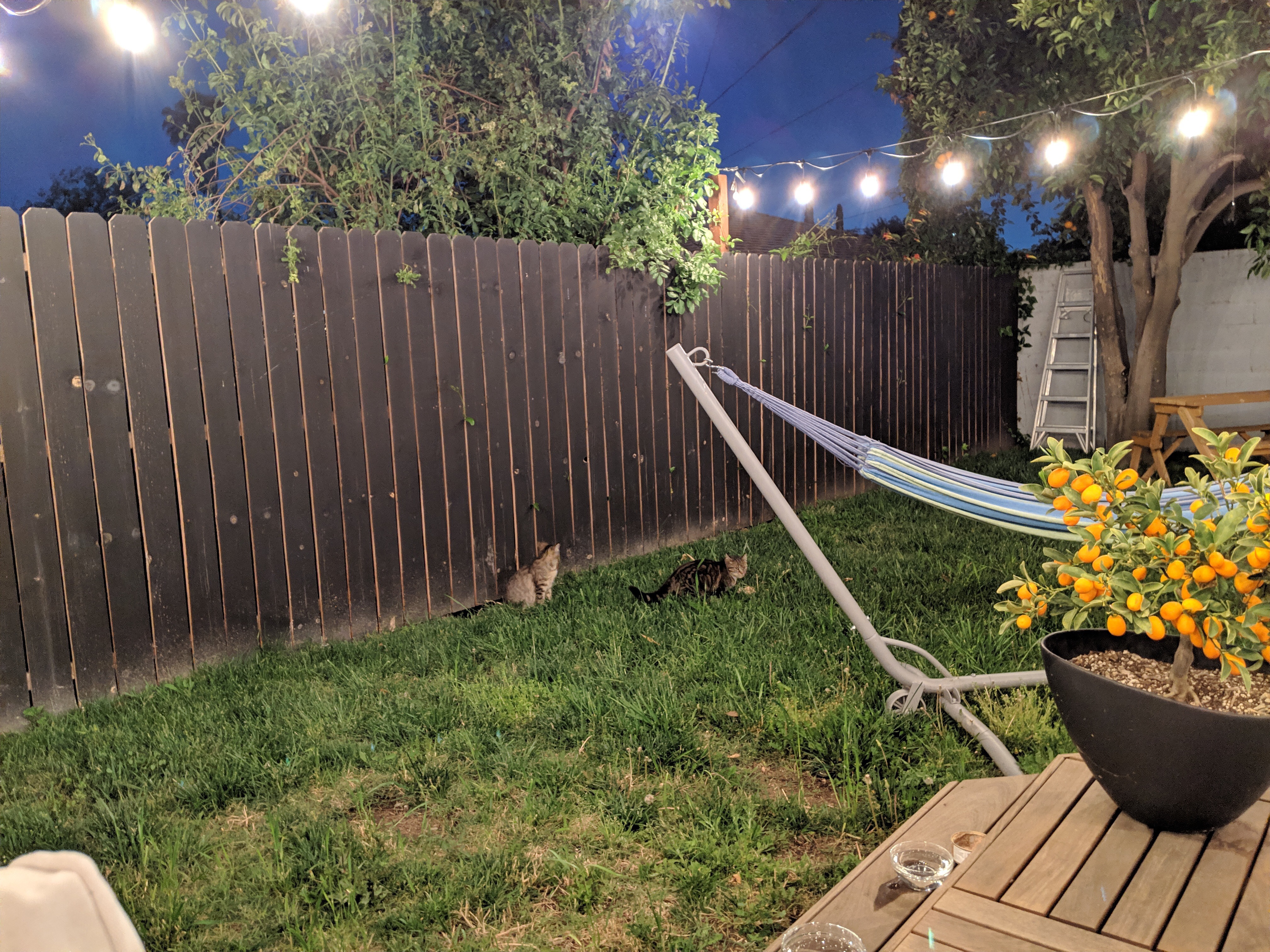 PK and Friend alt text